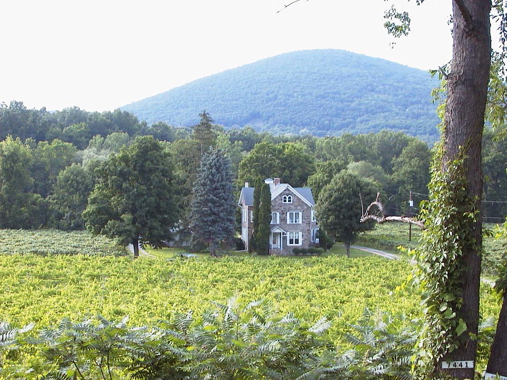 Aut_1230 near Hammondsport, NY Walter Etten Flickr