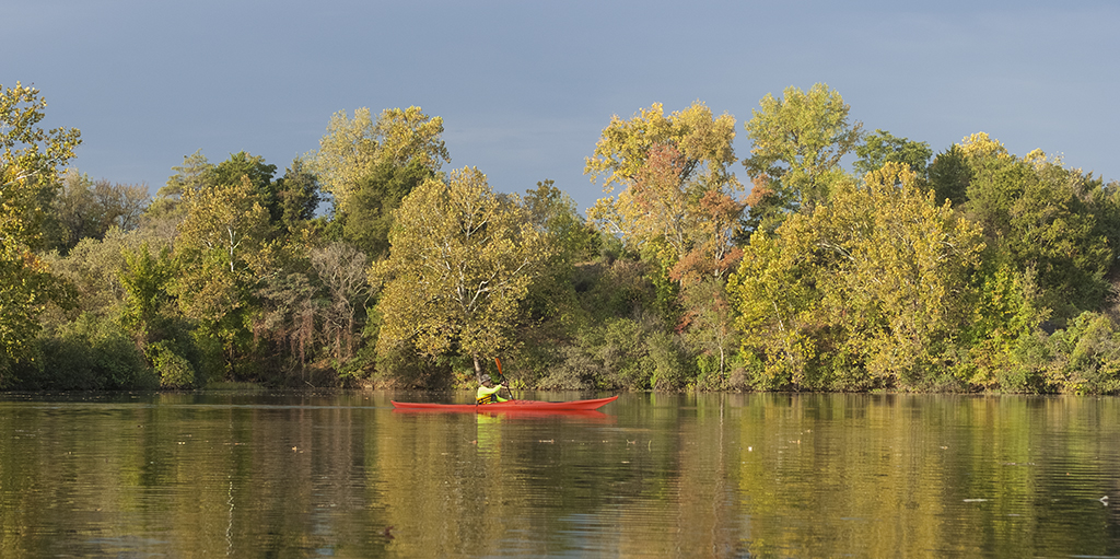 _DSF7002 Exploring by kayak the Illinois bayou near Russel… Flickr
