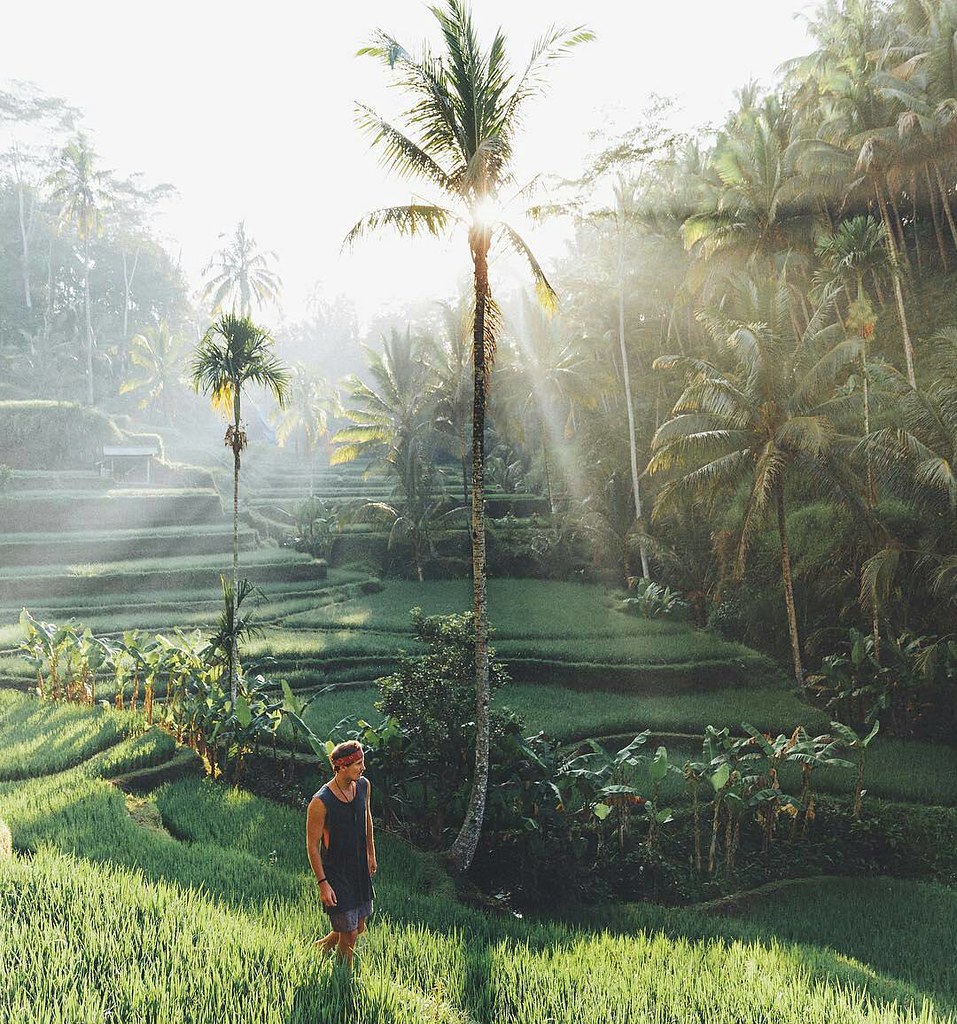 28+ Viral Gambar Pemandangan Selamat Pagi Guyonreceh