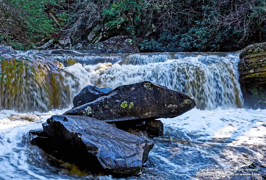 The Frog_Potters Falls Potter's Falls is located near Wart… Flickr