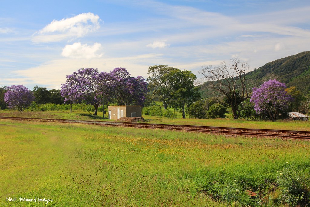 Elevation of Mount NSW, Australia Topographic Map Altitude Map