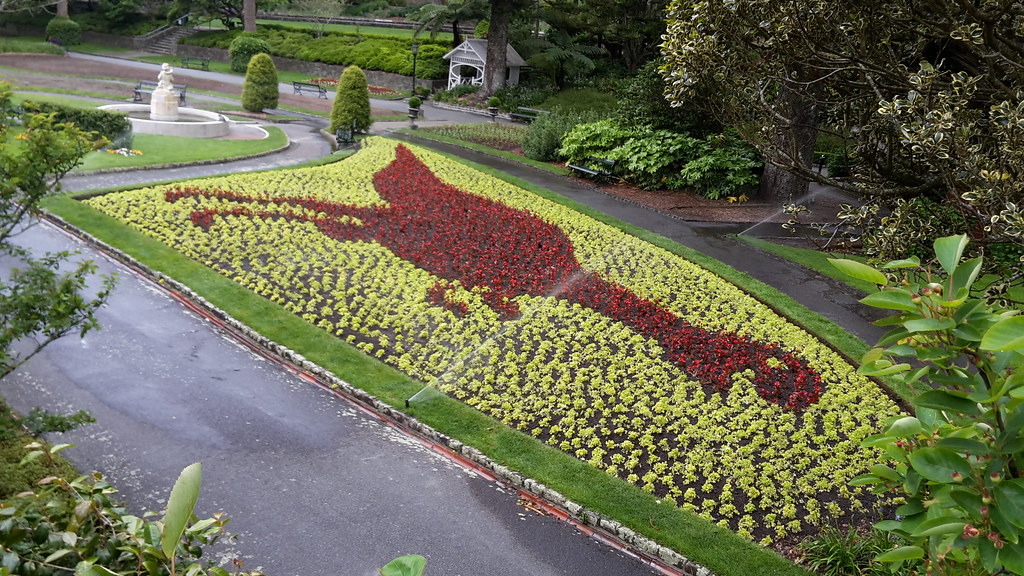 20161130_173939 The gardens beside Buchanan Way, looking t… Flickr