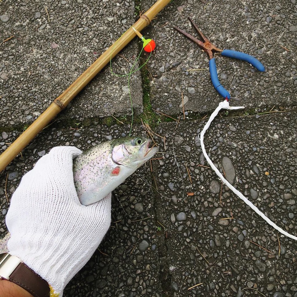 ねんざさんが釣った魚を見てたら、なんかオレも釣れてた。多分、生まれて初めて魚を釣ったぞ。 としまえん 魚釣り … Flickr