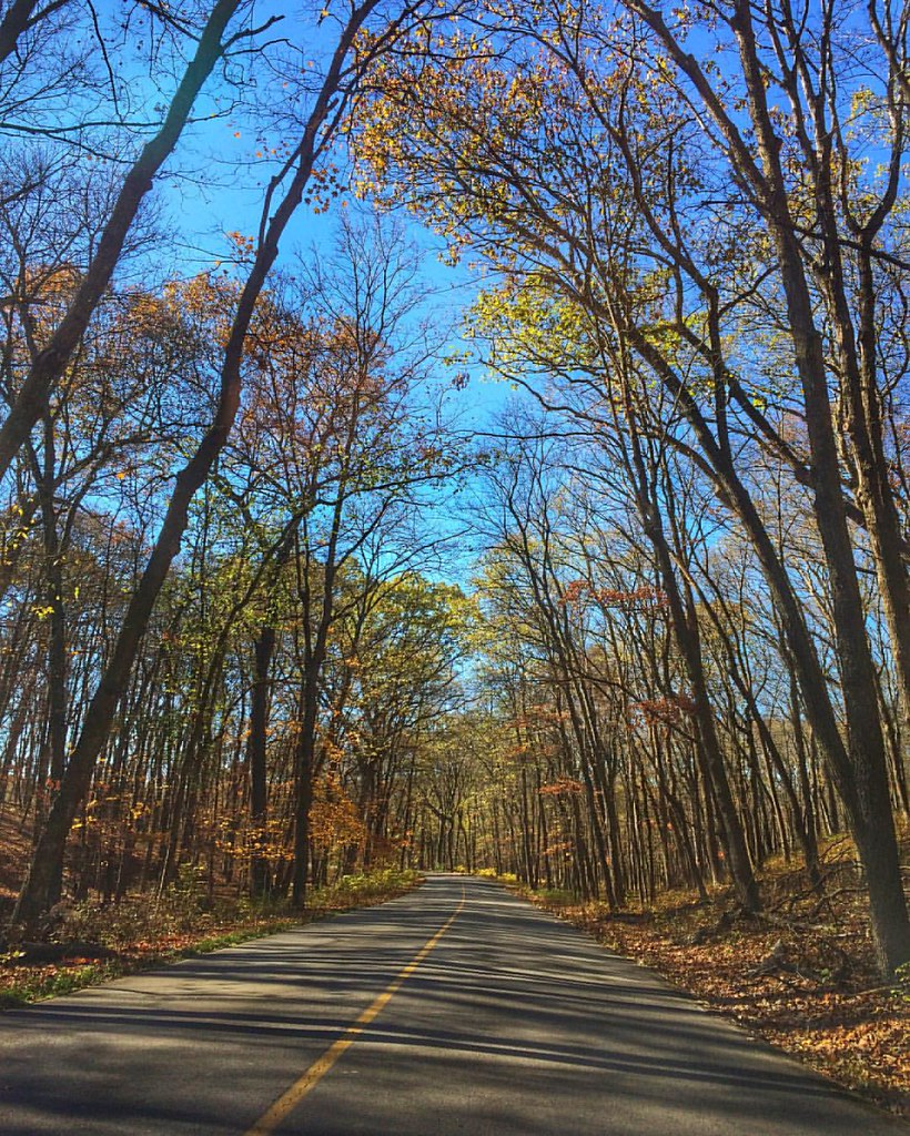Elevation of 55 Brake Rd, Troy, MO, USA Topographic Map Altitude Map