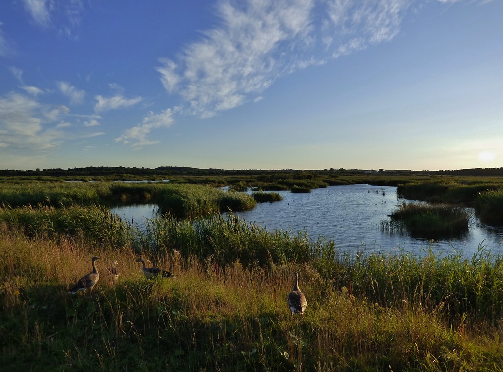 Swillington Ings near Leeds, Yorkshire, England August 2… Flickr
