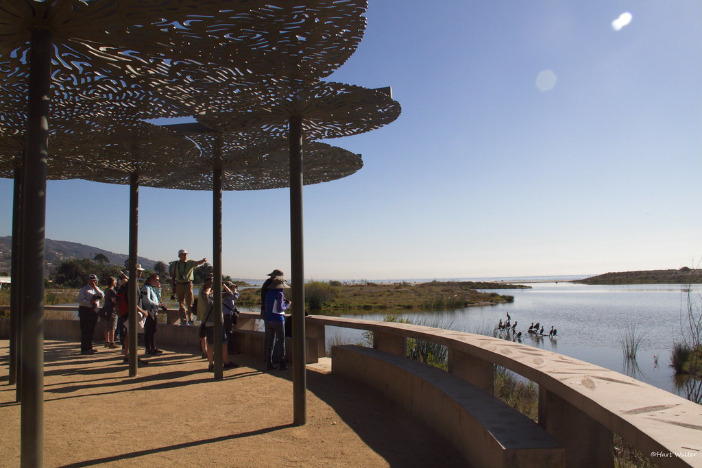 Friends of Geography, UCLA, at Malibu Lagoon CA IMG_2454 Flickr