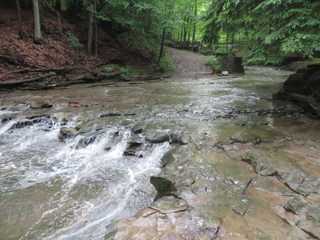 Nine mile hike 61415 001 Frank J. Comodeca Flickr