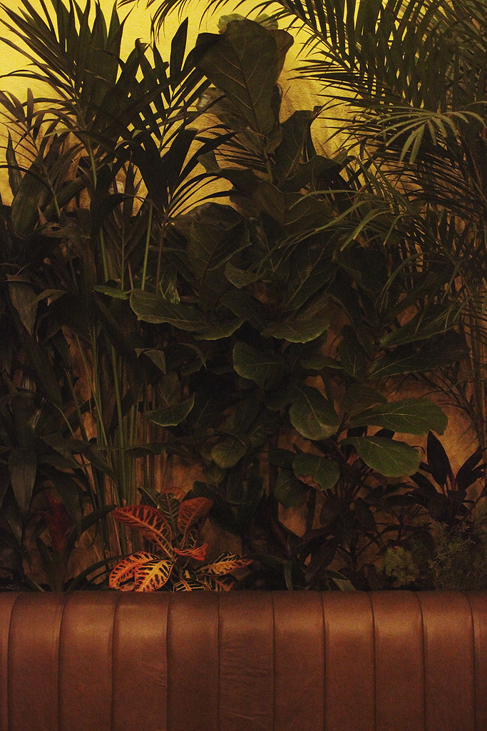 Dishoom Slipdisc Photo by Alex K The 405 (Music & Art) Flickr