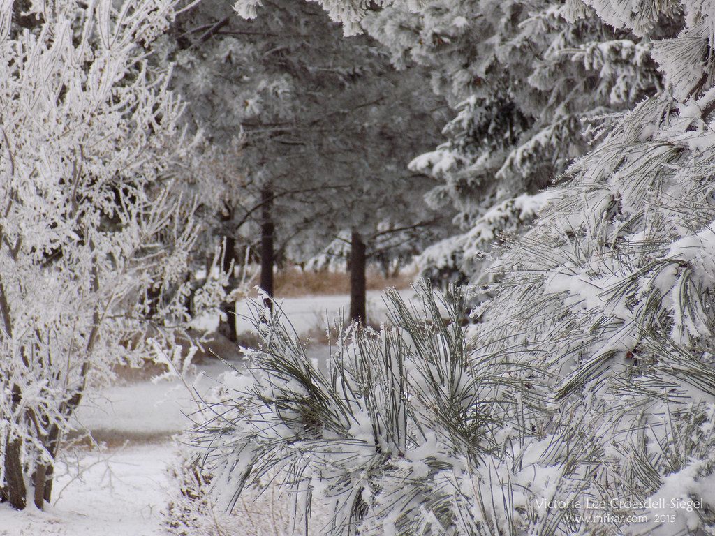 North Dakota Winter Photograph taken by VL Croasdell, in r… Flickr