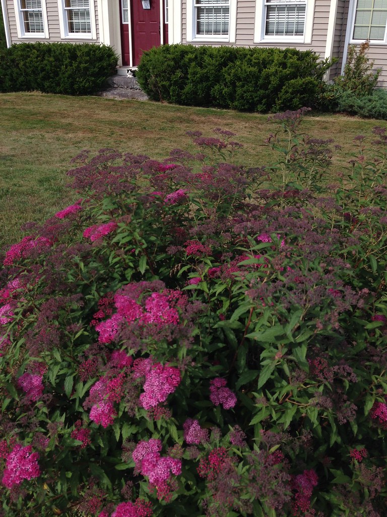 2015 Maine Brooklin Maine 04 All are JulyAugust 2015, n… Flickr