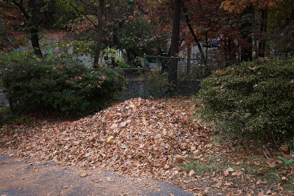 Takoma Park, MD 2016 aastronautss Flickr
