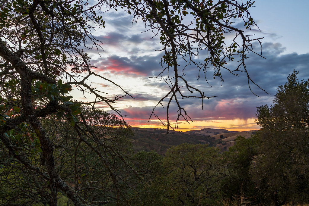 Elevation of Northgate, Lake Herman Rd, Benicia, CA, USA Topographic Map Altitude Map