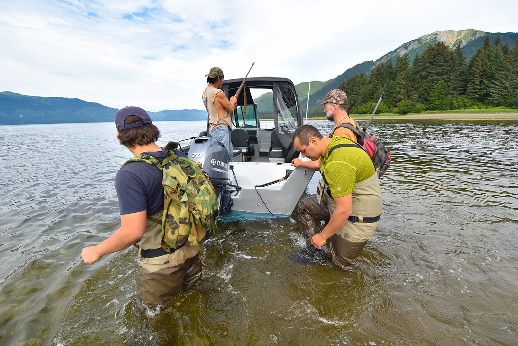 Hoonah Native Forest Partnership Pink Salmon Surveys Flickr