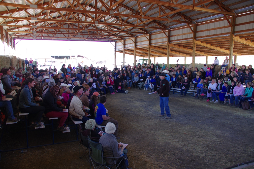 Kiger wild horse auction, Hines, Oregon The Kiger herd auc… Flickr