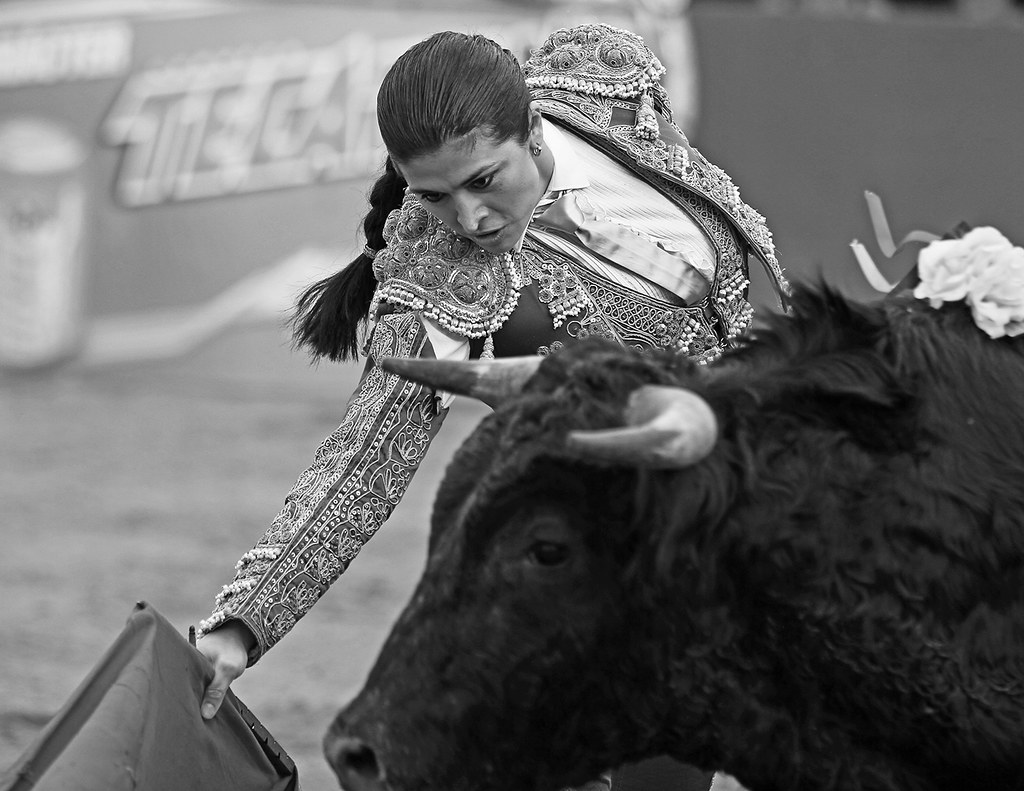 La Gloria Bull Fights 19 Bloodless bullfighting in La Glor… Flickr