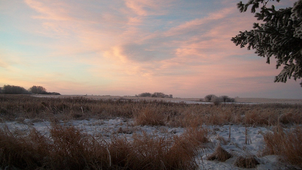 December Morning, Betty Budz of Rossburn, MB Taken at Ross… Flickr