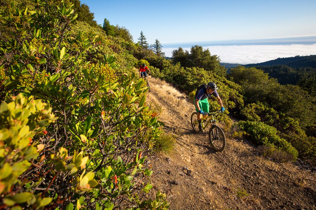 Paradise Royale Mountain Bike Trail System in California Flickr