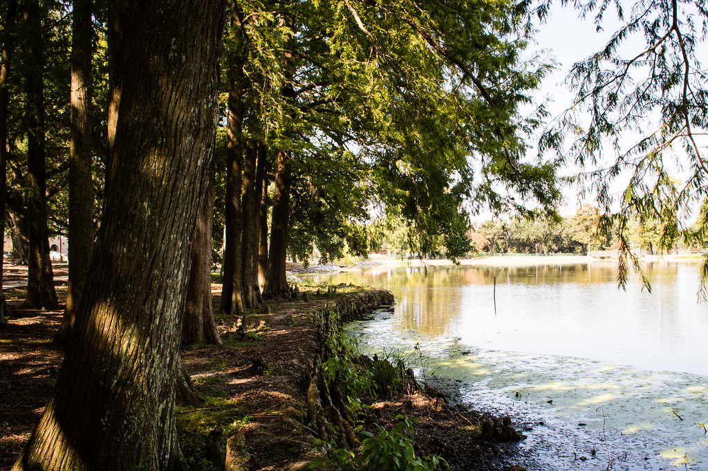 LSU Lakes Flickr