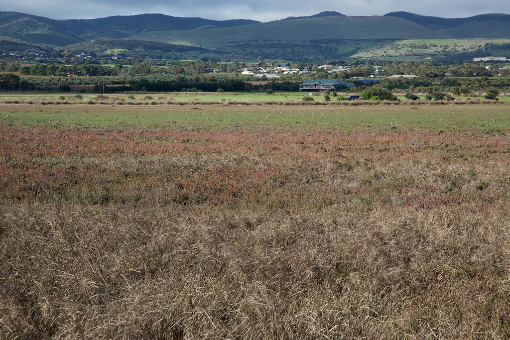 Washpool landscape Aldinga Washpool South Australia Friends of