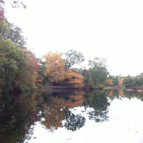 Pawcatuck River in Ashaway, RI Donna VanHorn Flickr