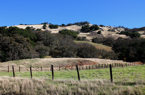 Mt. Diablo Up Close, Walnut Creek, California Mt. Diablo S… Flickr