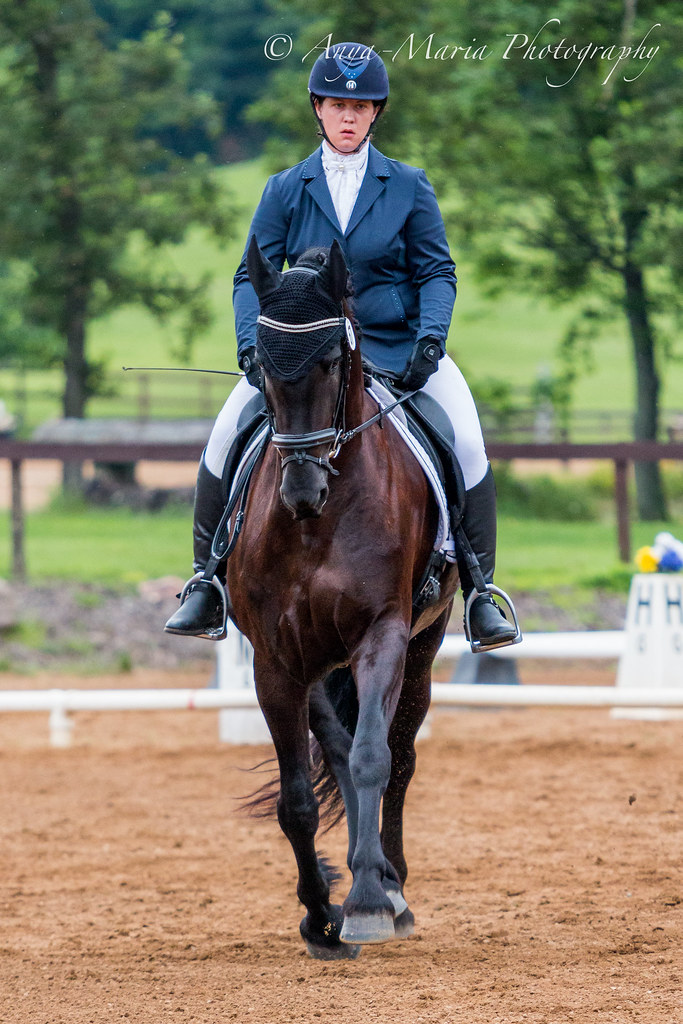 Otter Creek Dressage anyaotterson Flickr