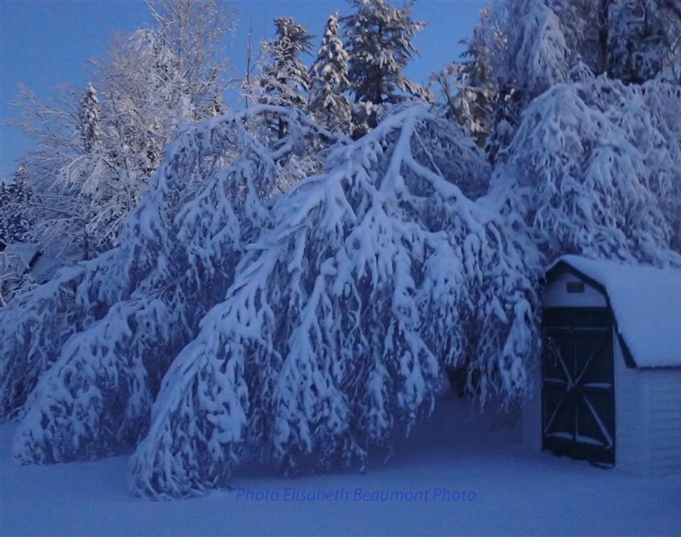 L`Hiver Winter (2) Nasonworth Nouveau Brunswick / New Br… Flickr