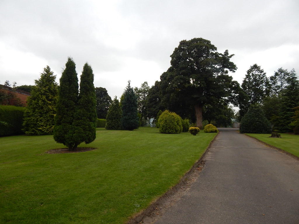 Levengrove Park, Dumbarton, Scotland Various Trees Patricia Ann Wallace Flickr