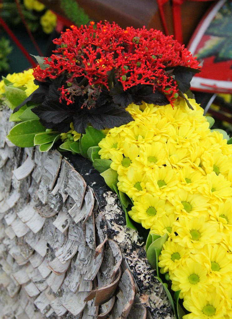 Flowers and Bark Southport Flower Show 2015 Colin Gould Flickr