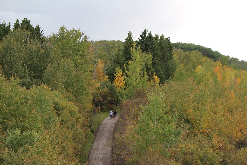 Bonnyville, Alberta, Canada Photos of the town of Bonnyvil… Flickr