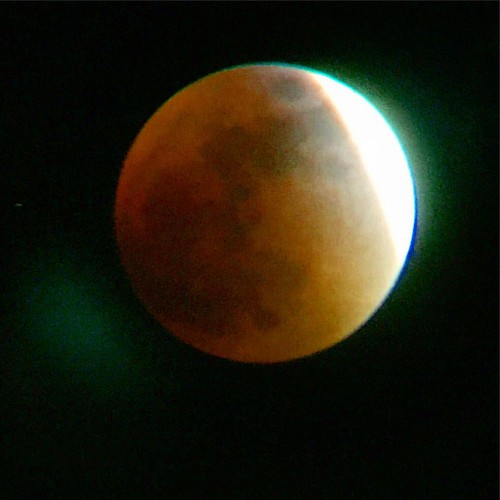 Red moon rising....Blood moon! iPhone through telescope! … Flickr