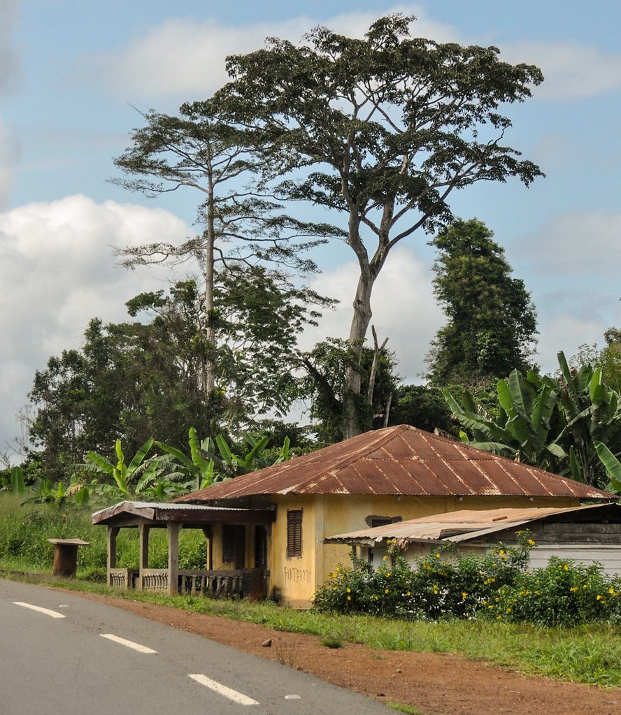 House by the road Equatorial Guinea Richard Roberts Flickr