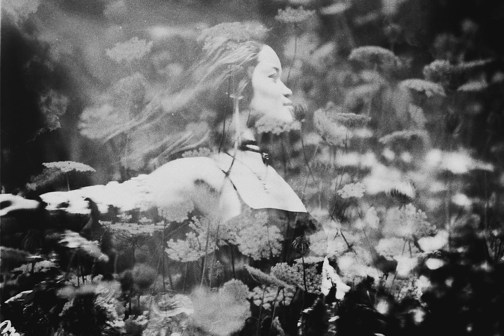 Flower Ghost Whispers of the night you can hear one dance … Flickr