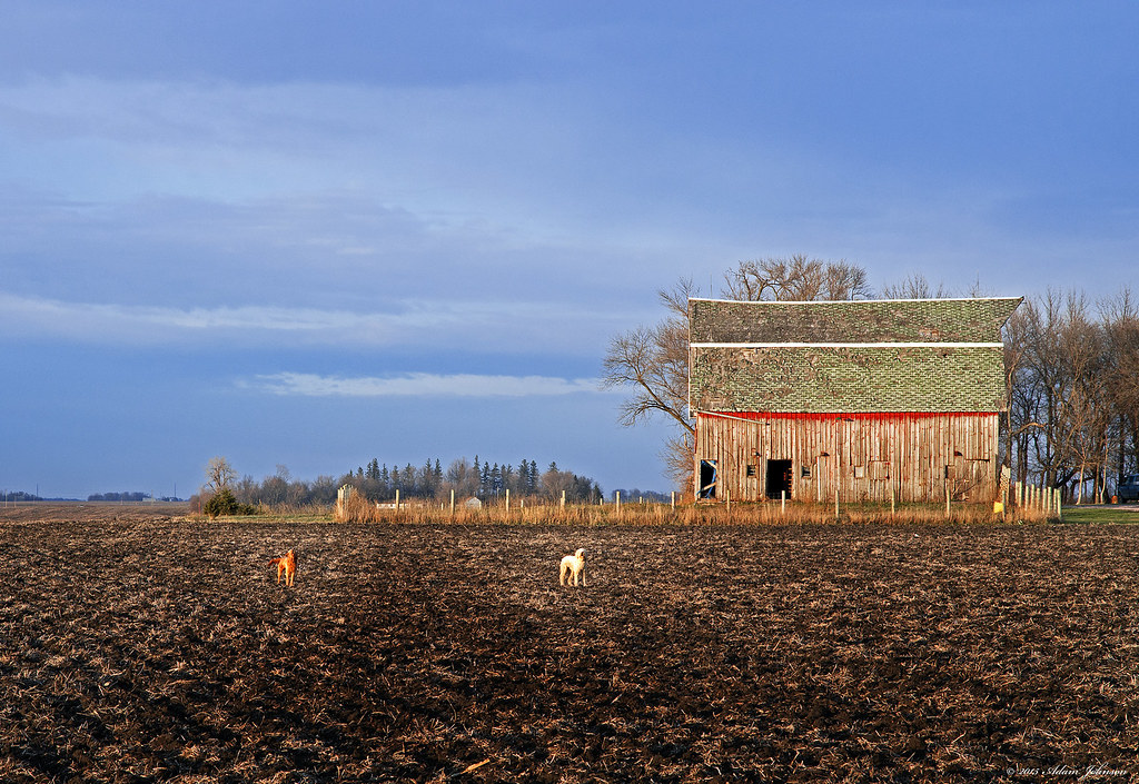 Sibley County MN Flickr