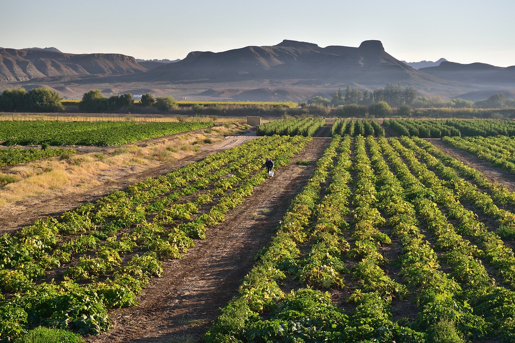 Farm, Vioolsdrift, Northern Cape, South Africa South African Tourism