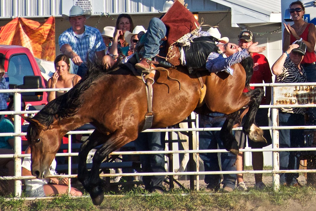 20150725 NE 189 Burwell Nebraska's Big Rodeo Barebac… Flickr