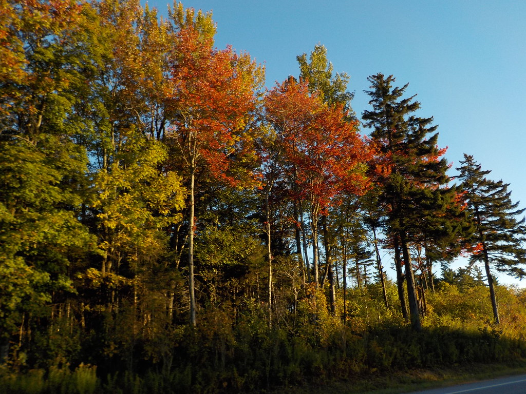 keene swap meet 2015 146 Cindi Flickr