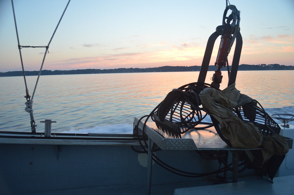 Oyster Patent Tong Survey VIMS/VMRC 2016 Oyster Survey Flickr