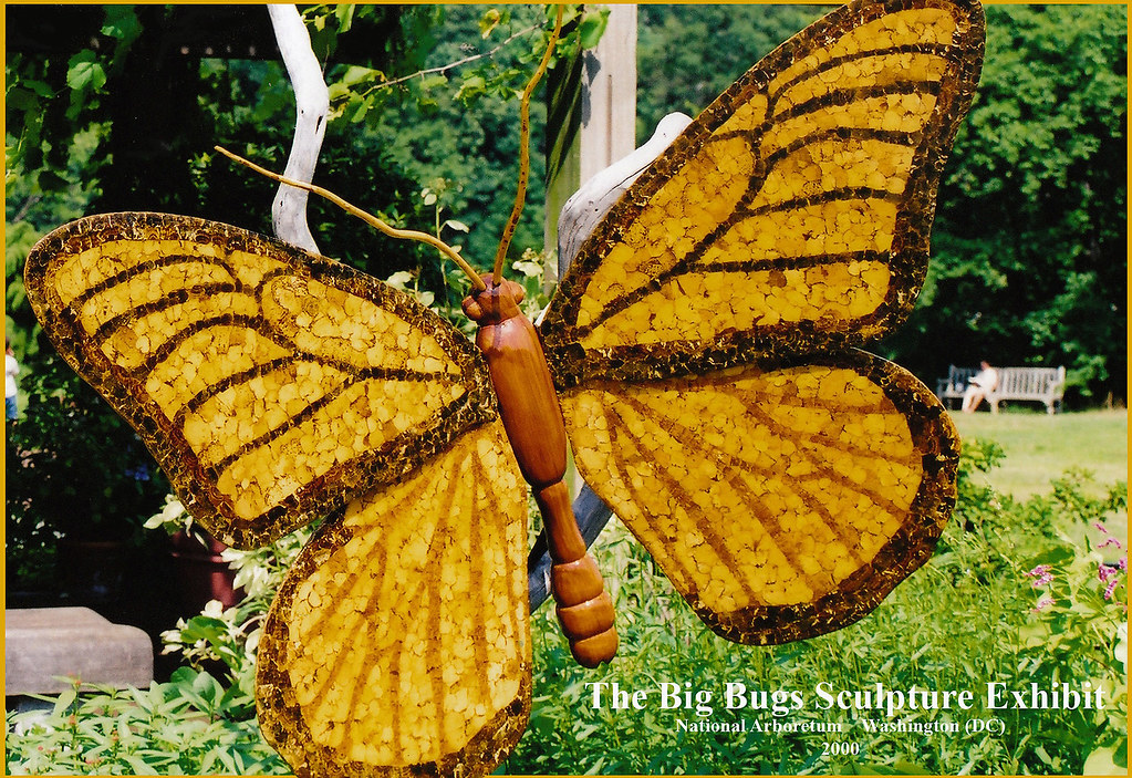 "The Big Bugs Sculpture Exhibit" National Arboretum Was… Flickr