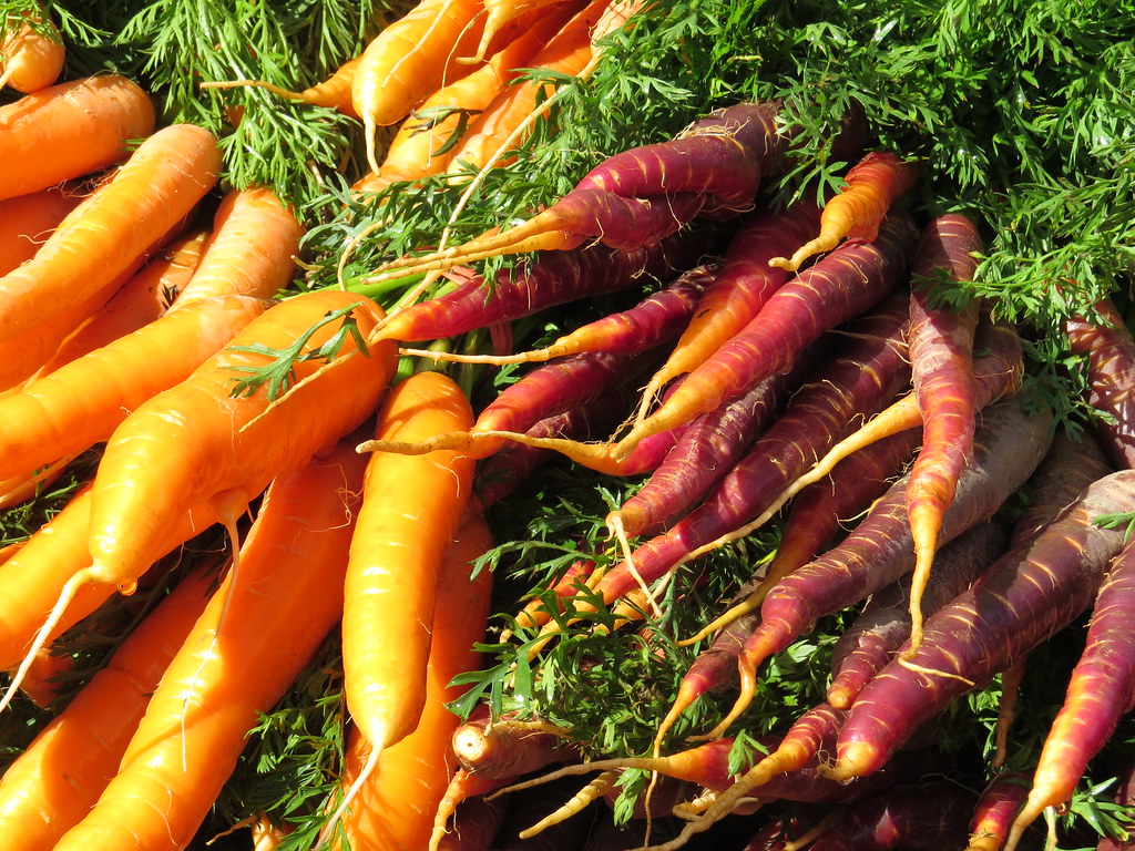 Garlic Festival 2015 patricia moriarty Flickr