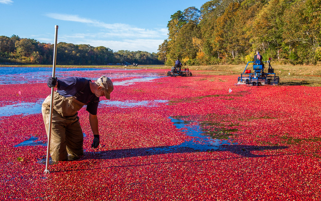 marstons_mills0491 MARSTONS MILLS October 14, 2015 Christ… Flickr