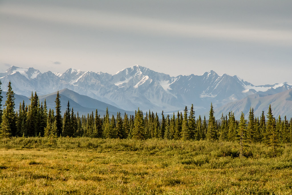 Alaska Range, Brushkana Creek, Alaska Denali Highway
