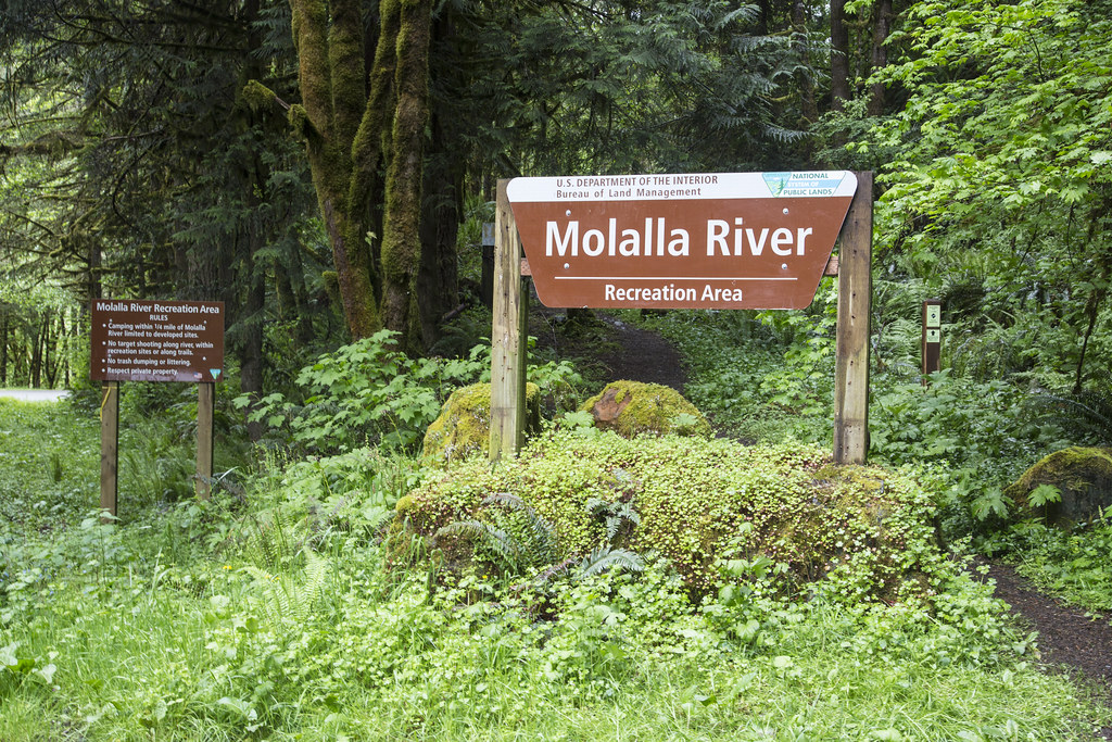 Molalla River The Molalla River Recreation Area provides r… Flickr