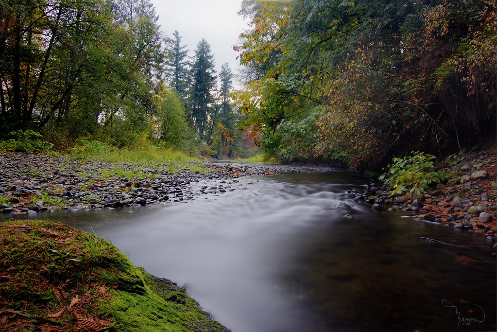 Elevation of Lake Lawrence, Washington, USA Topographic Map