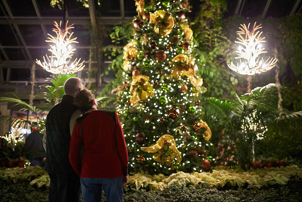 ENMAX Conservatory Christmas Tree Calgary Zoo Flickr