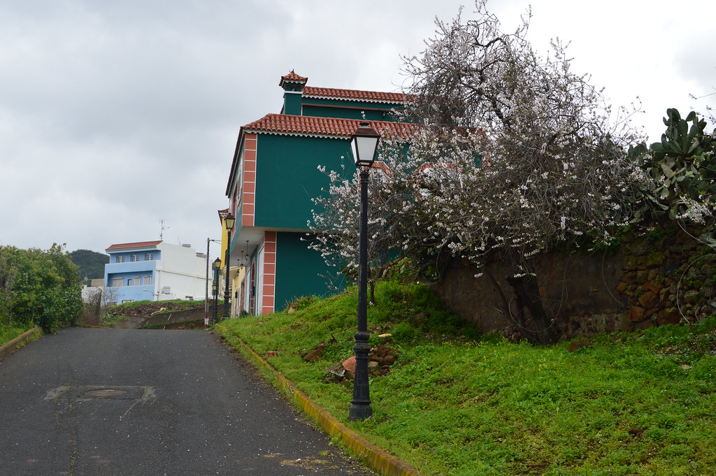 DSC_1572 casa de campo Gran Canaria orlando il g g Flickr