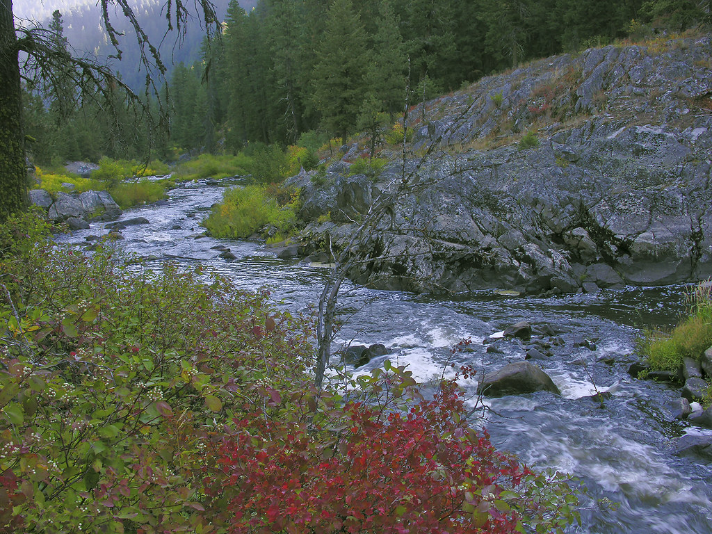 The Little Salmon River in western Idaho On the Little Sal… Flickr