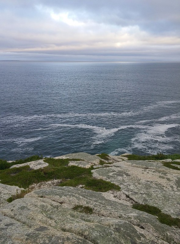 Photos Herring Cove Provincial Park Reserve Halifax, Nova Scotia
