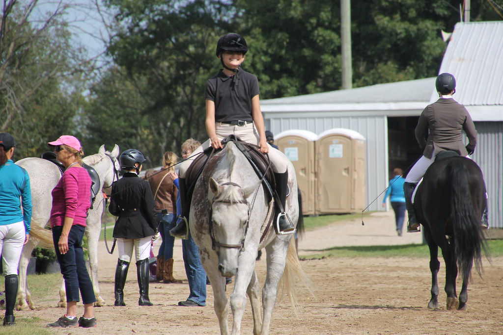 Dressage at Woodbine Schooling Show (September 20, 2015 … Flickr