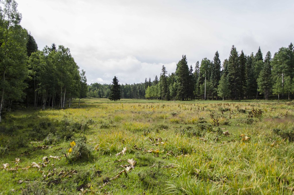 La Jara New Mexico Photo Credit Jim O'Donnell, Amigos Bra